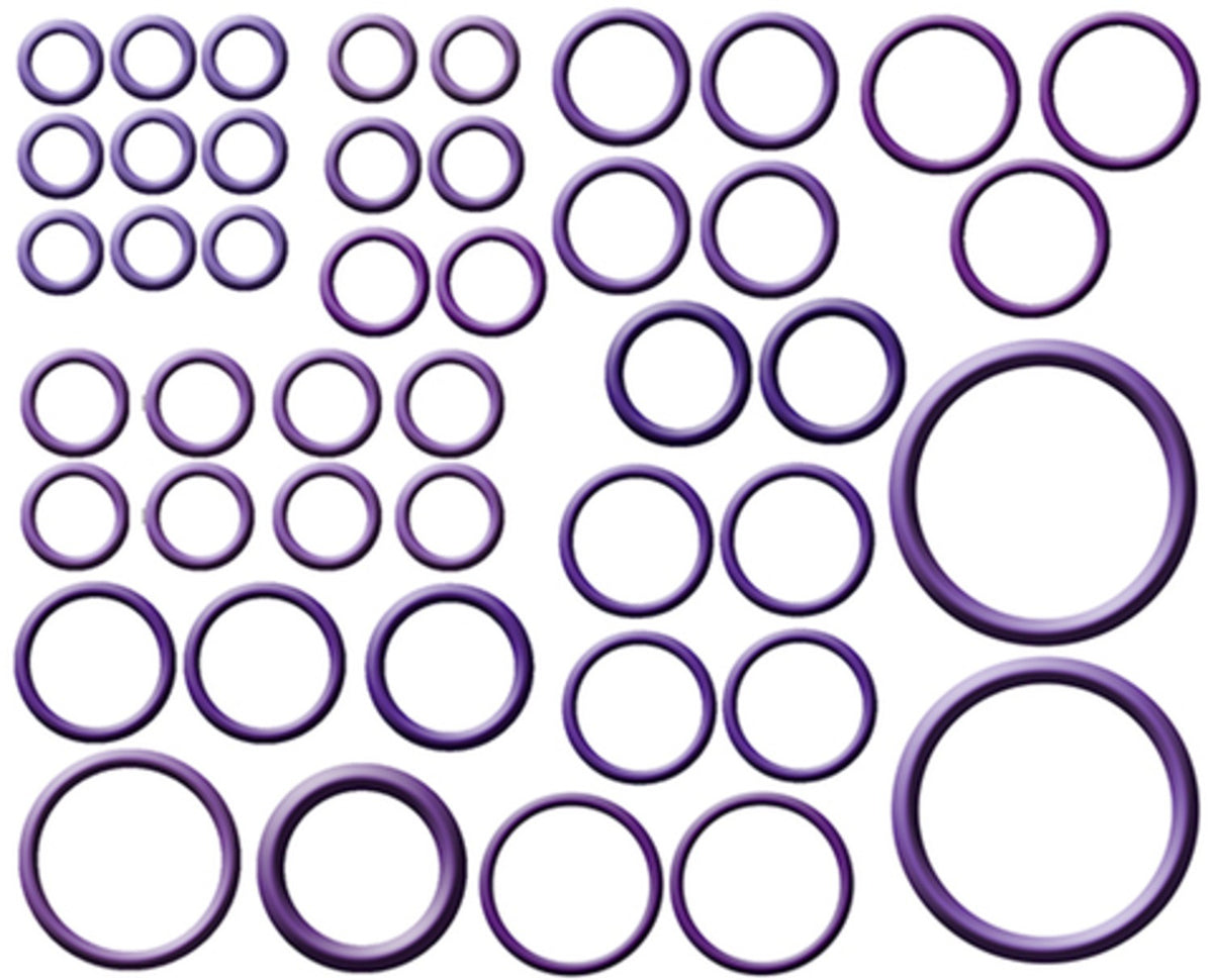 Four Seasons A/C System O-Ring and Gasket Kit 26767