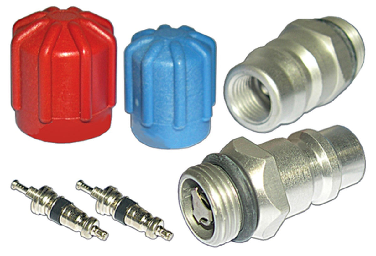 Four Seasons A/C System Valve Core and Cap Kit 26778