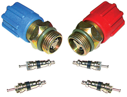 Four Seasons A/C System Valve Core and Cap Kit 26784