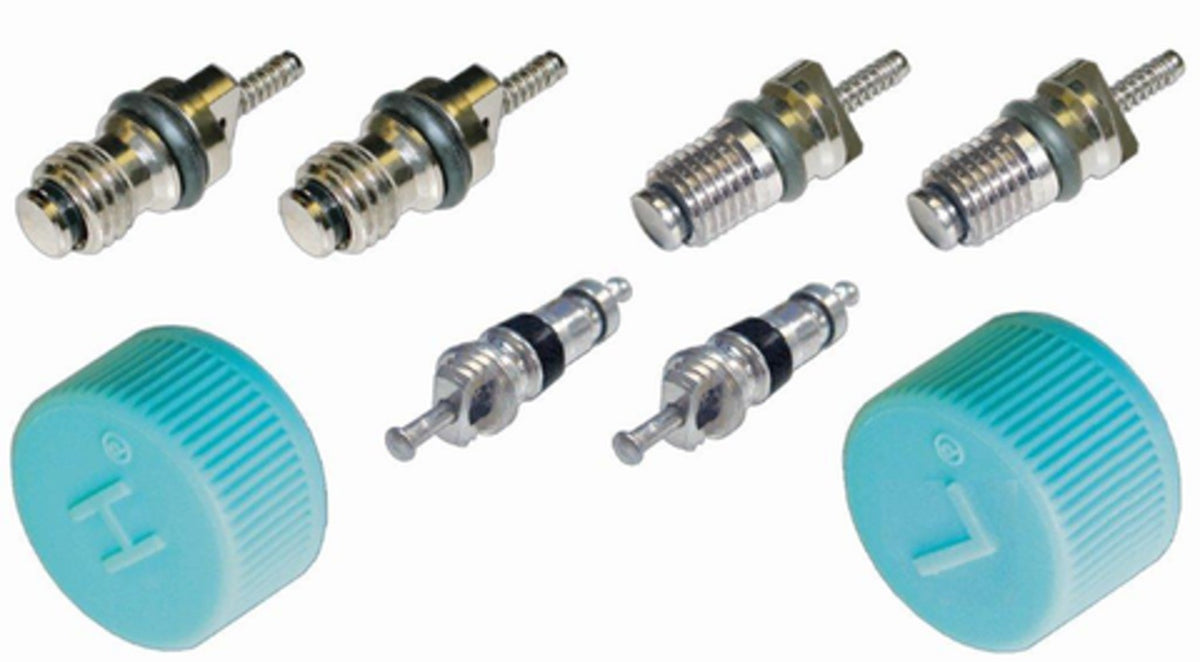 Four Seasons Cap & Valve A/C System Seal Kit 26862