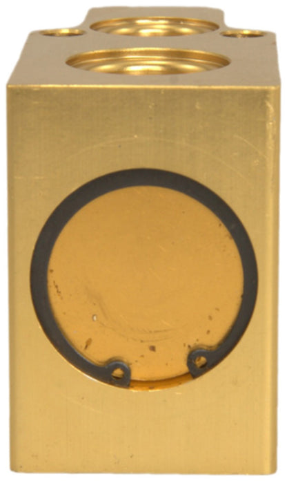 Four Seasons A/C Expansion Valve 38670