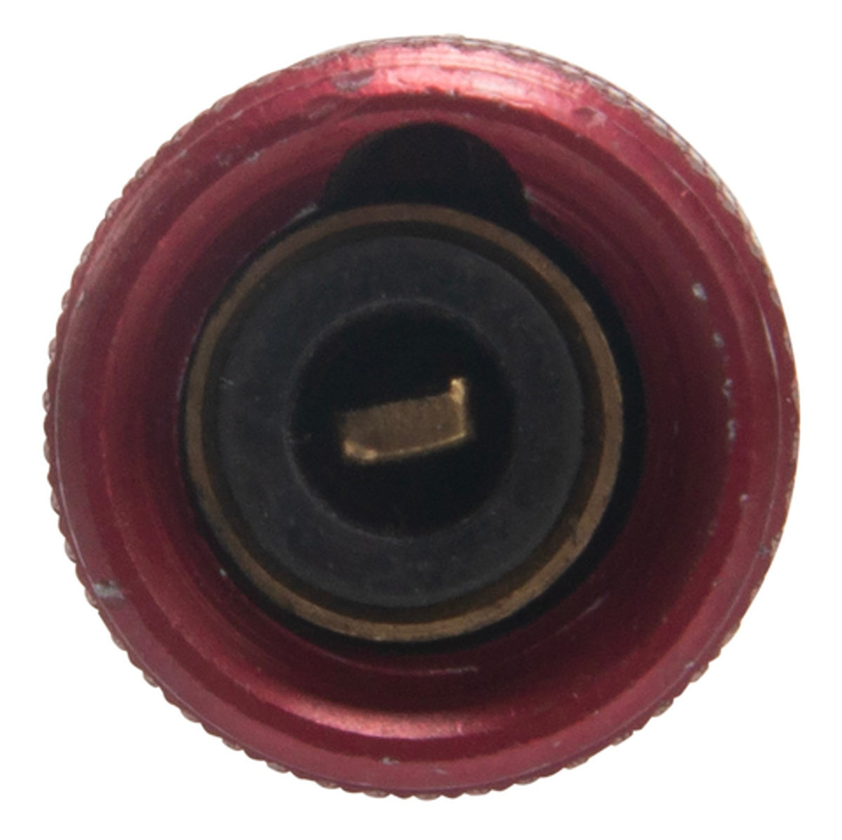 Four Seasons A/C Refrigerant Adapter 59612