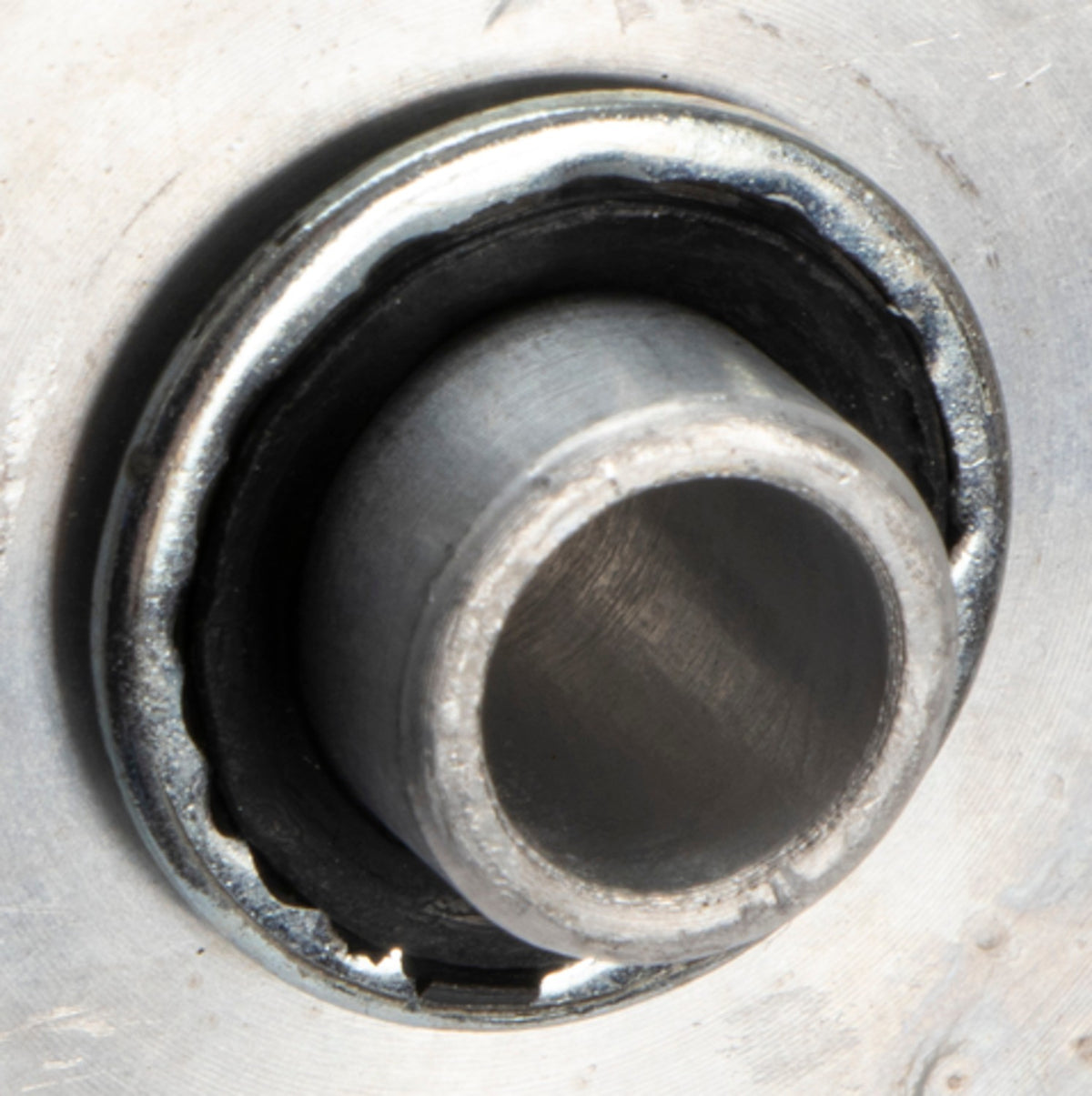 Four Seasons Discharge & Suction Line Hose Assembly 66873