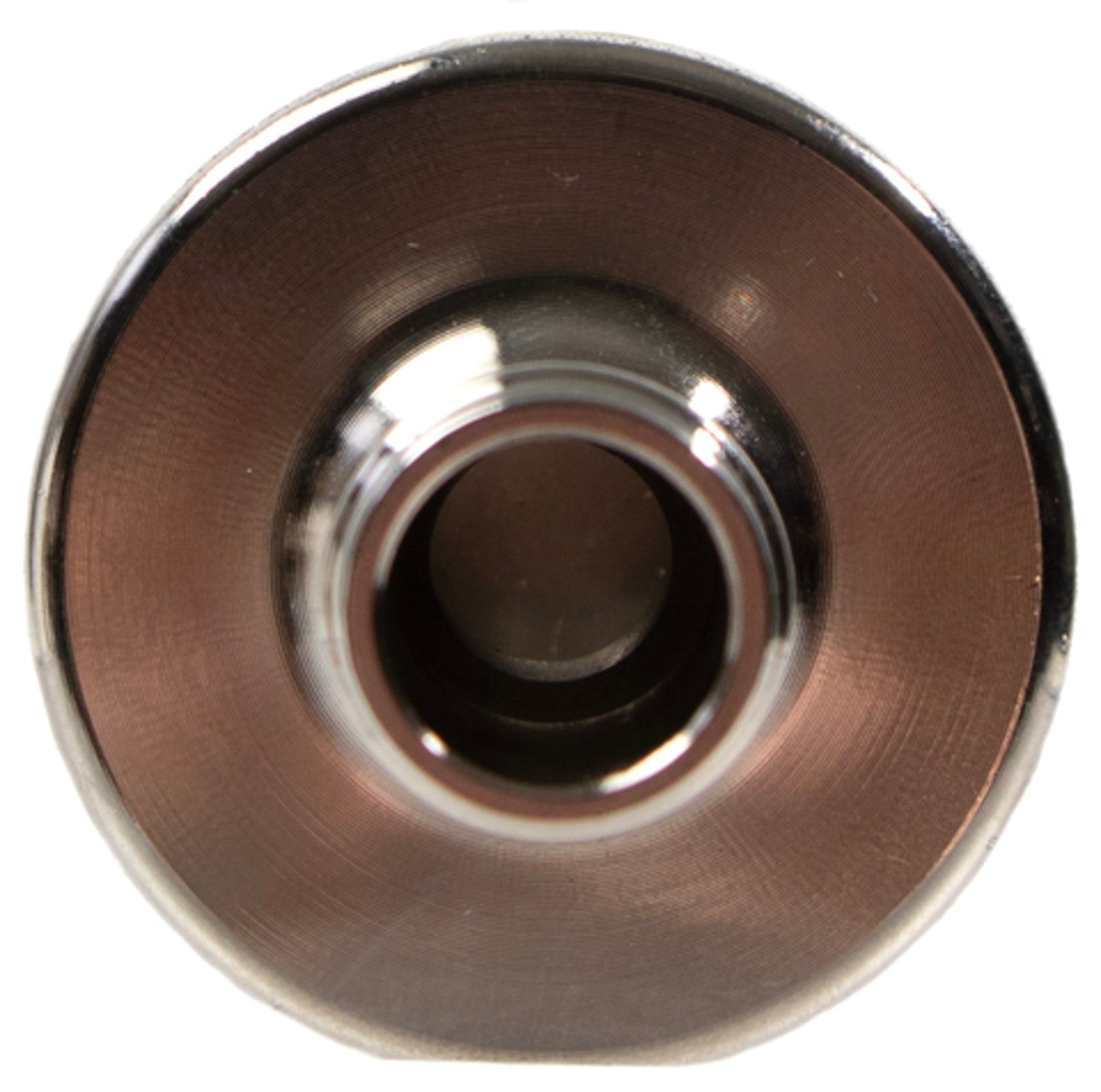 Four Seasons Engine Coolant Filter 84795 image 7