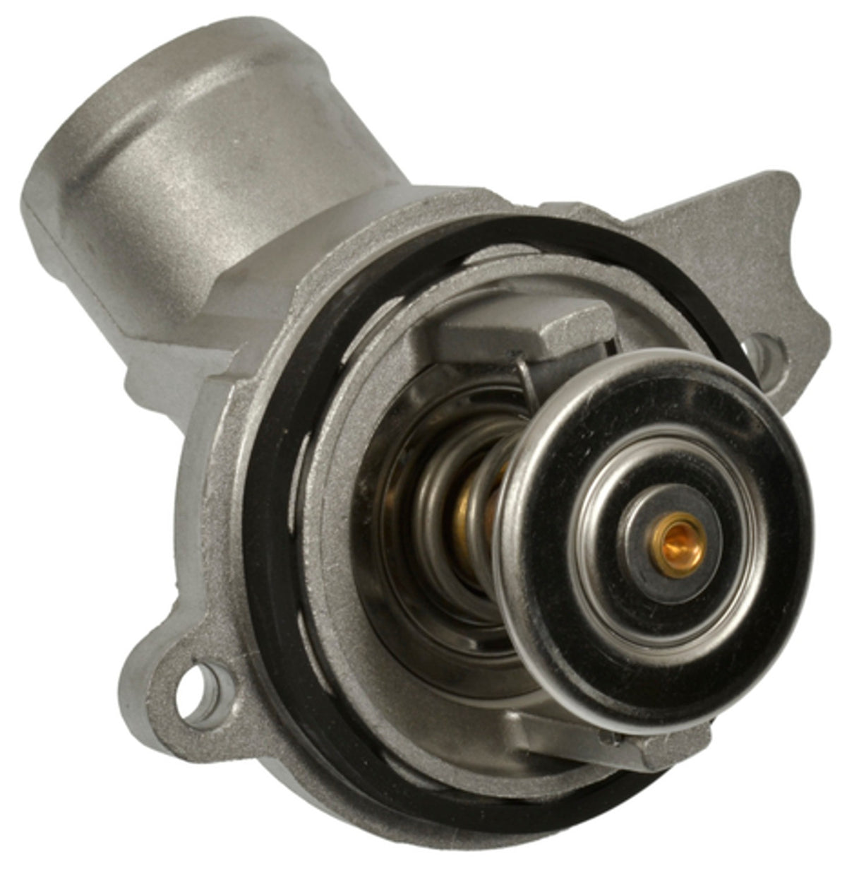 Four Seasons Water Outlet with Thermostat 85966