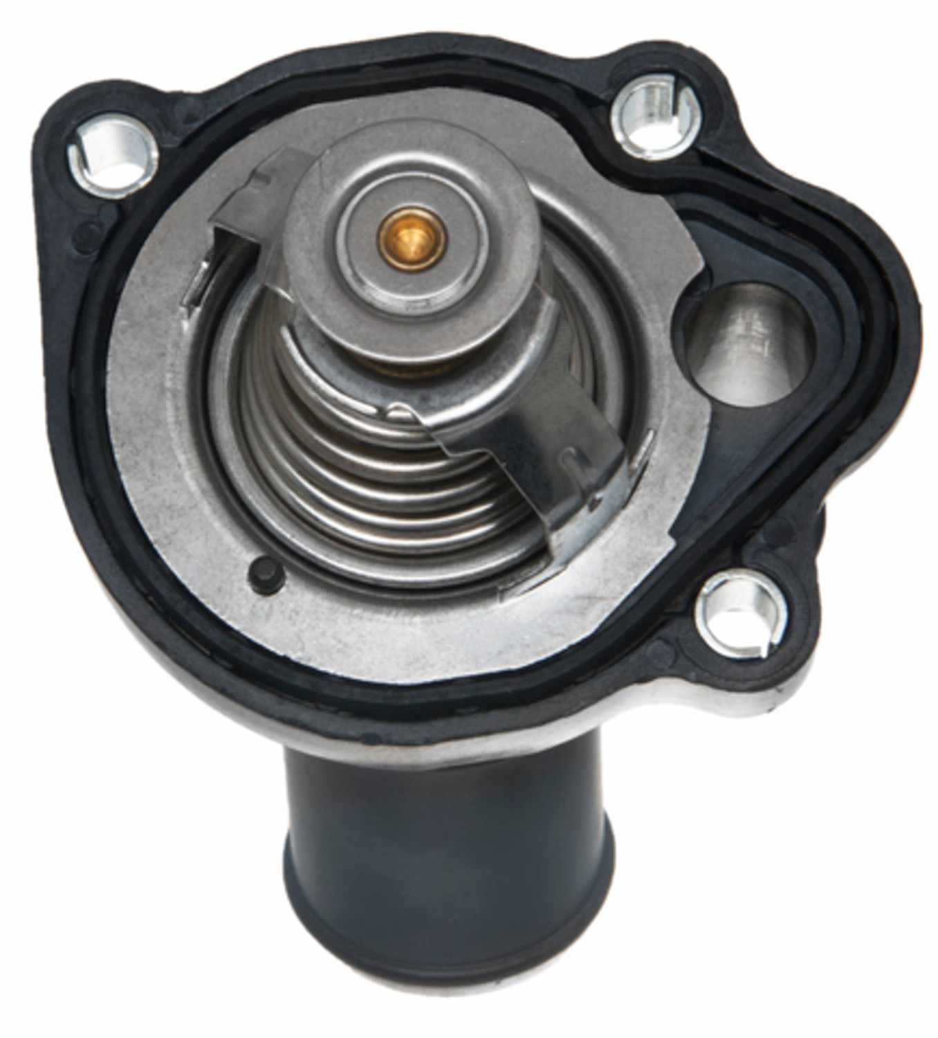 Four Seasons Water Outlet with Thermostat 85980