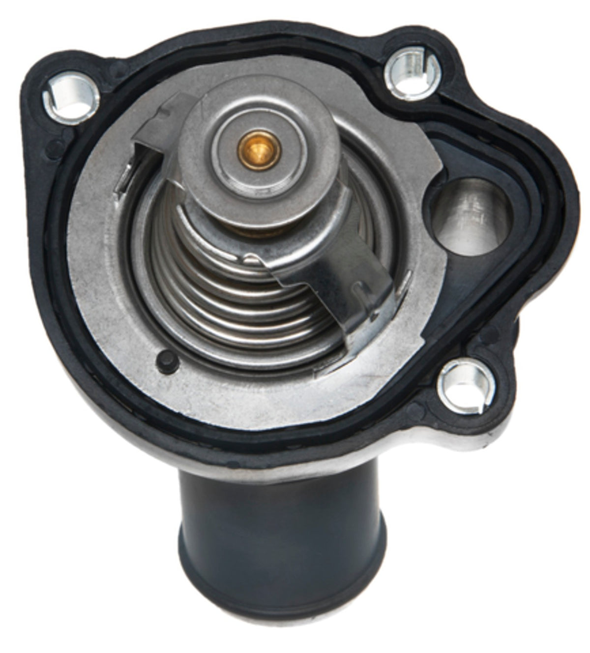 Four Seasons Water Outlet with Thermostat 85980