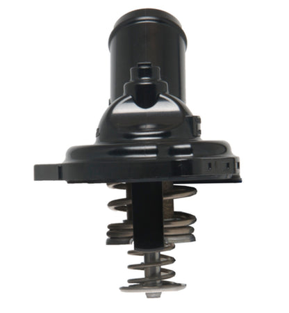 Four Seasons Water Outlet with Thermostat 85995
