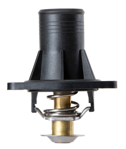 Four Seasons Water Outlet with Thermostat 86201