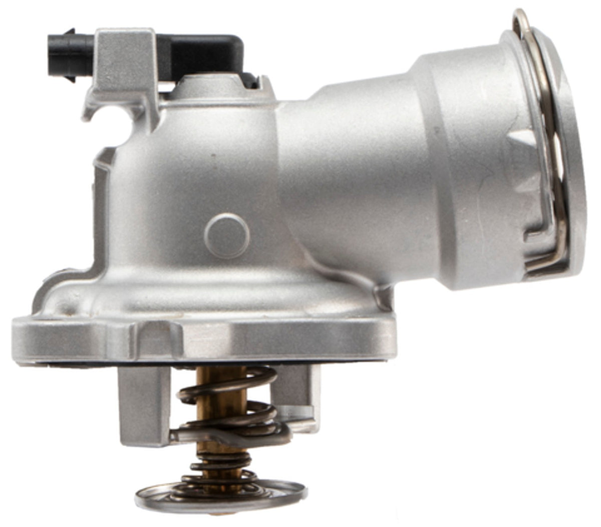 Focus Auto Parts Hatch Lift Support 86256