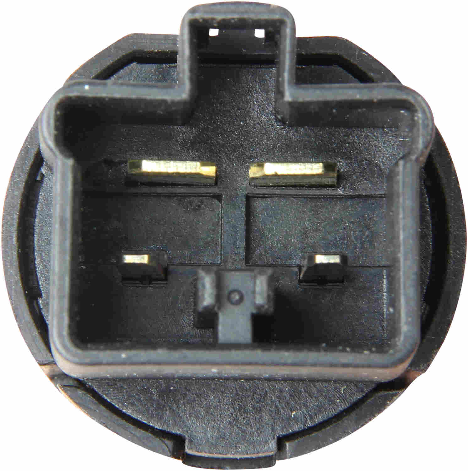 Facet Brake Light Switch