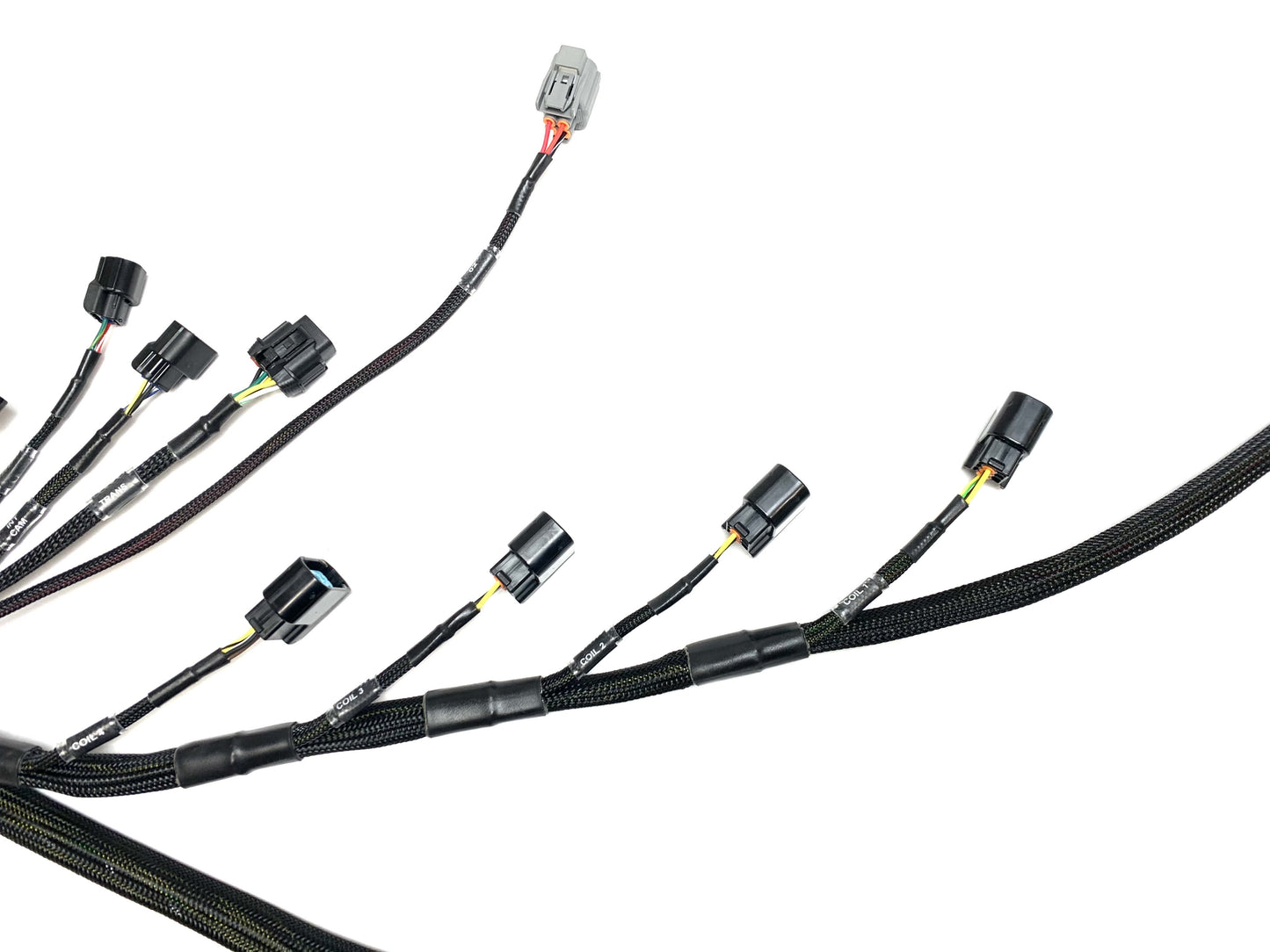Wiring Specialties K24 PRO Series Harness R32 Skyline GTS WRS-PROK20K24-R32-GTS
