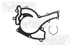 Graf Engine Water Pump PA1029