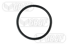 Graf Engine Water Pump PA1355