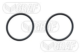 Graf Engine Water Pump PA579