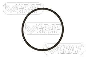 Graf Engine Water Pump PA617