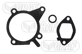 Graf Engine Water Pump PA931