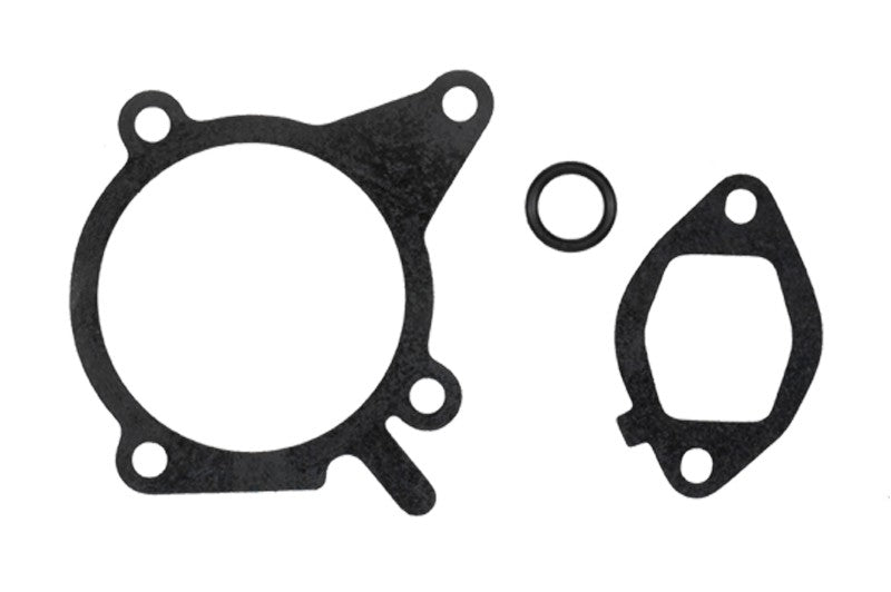 Graf Engine Water Pump PA931