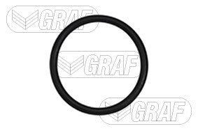Graf Engine Water Pump PA985