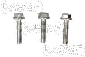 Graf Electric Water Pump (Dry Rotor Design) PAE1369