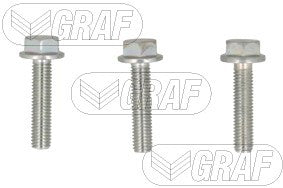Graf Electric Water Pump (Dry Rotor Design) PAE1494