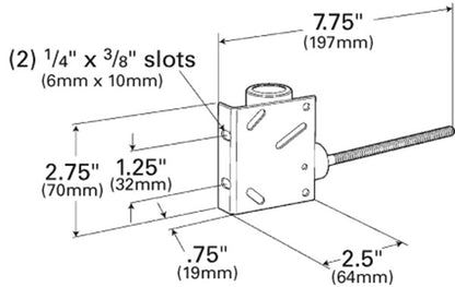 Grote Anti-Theft Alarm Switch 44421