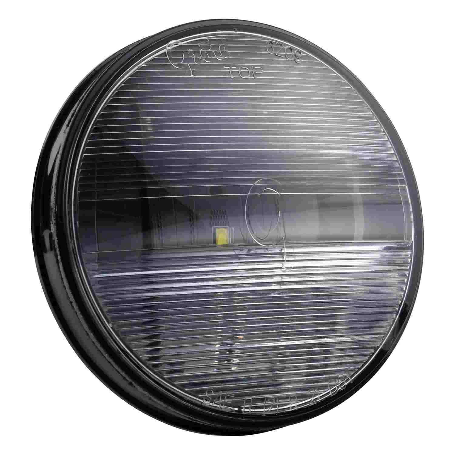 Grote Back Up Light Assembly 62101