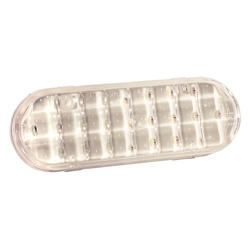 Grote Back Up Light Assembly 62561