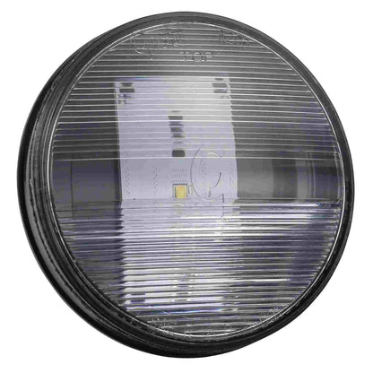 Grote Back Up Light Assembly 62691
