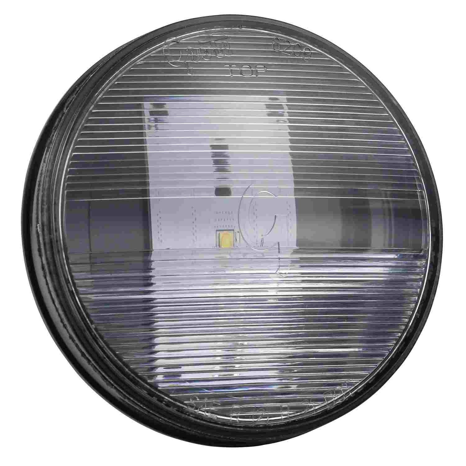 Grote Back Up Light Assembly 62691