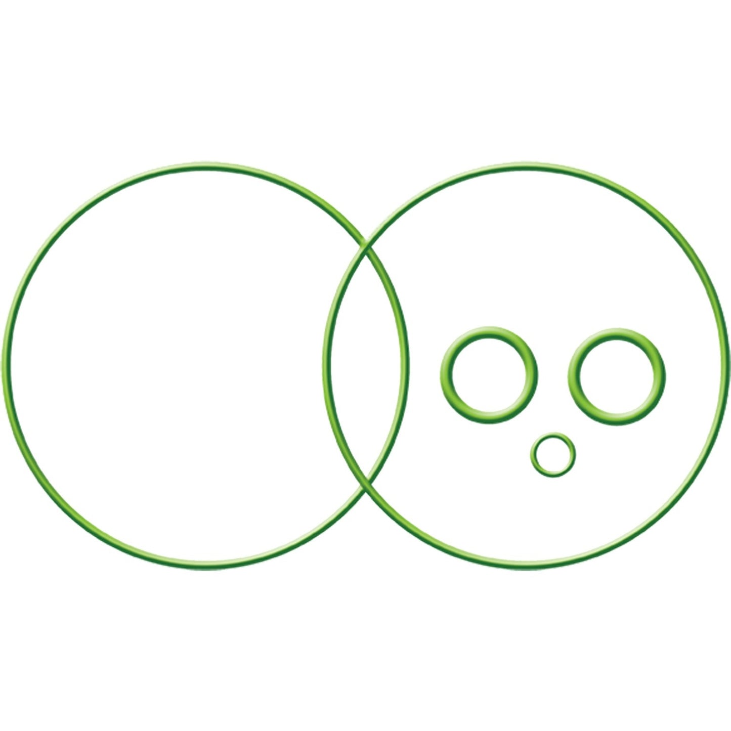 Global Parts Distributors LLC Oring/Gasket 1311243
