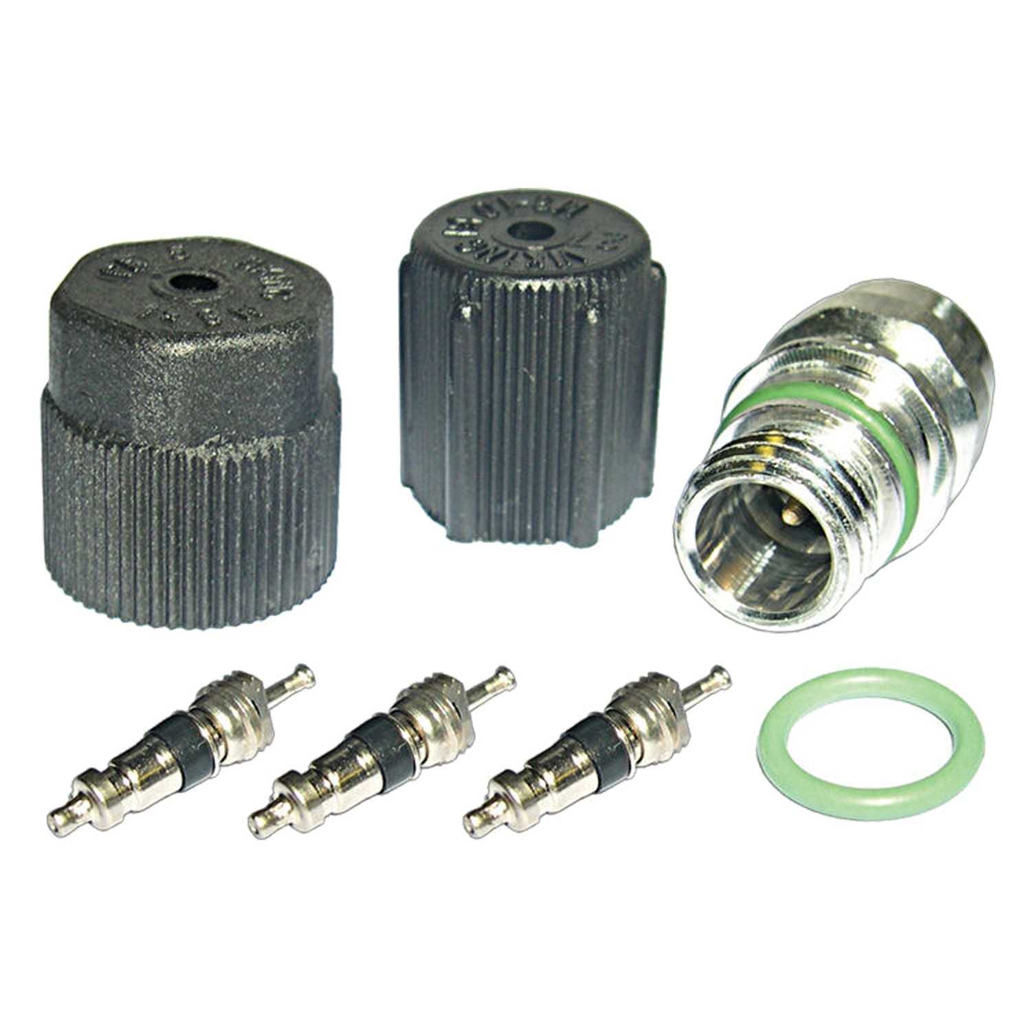 Global Parts Distributors LLC A/C System Valve Core and Cap Kit 1311422