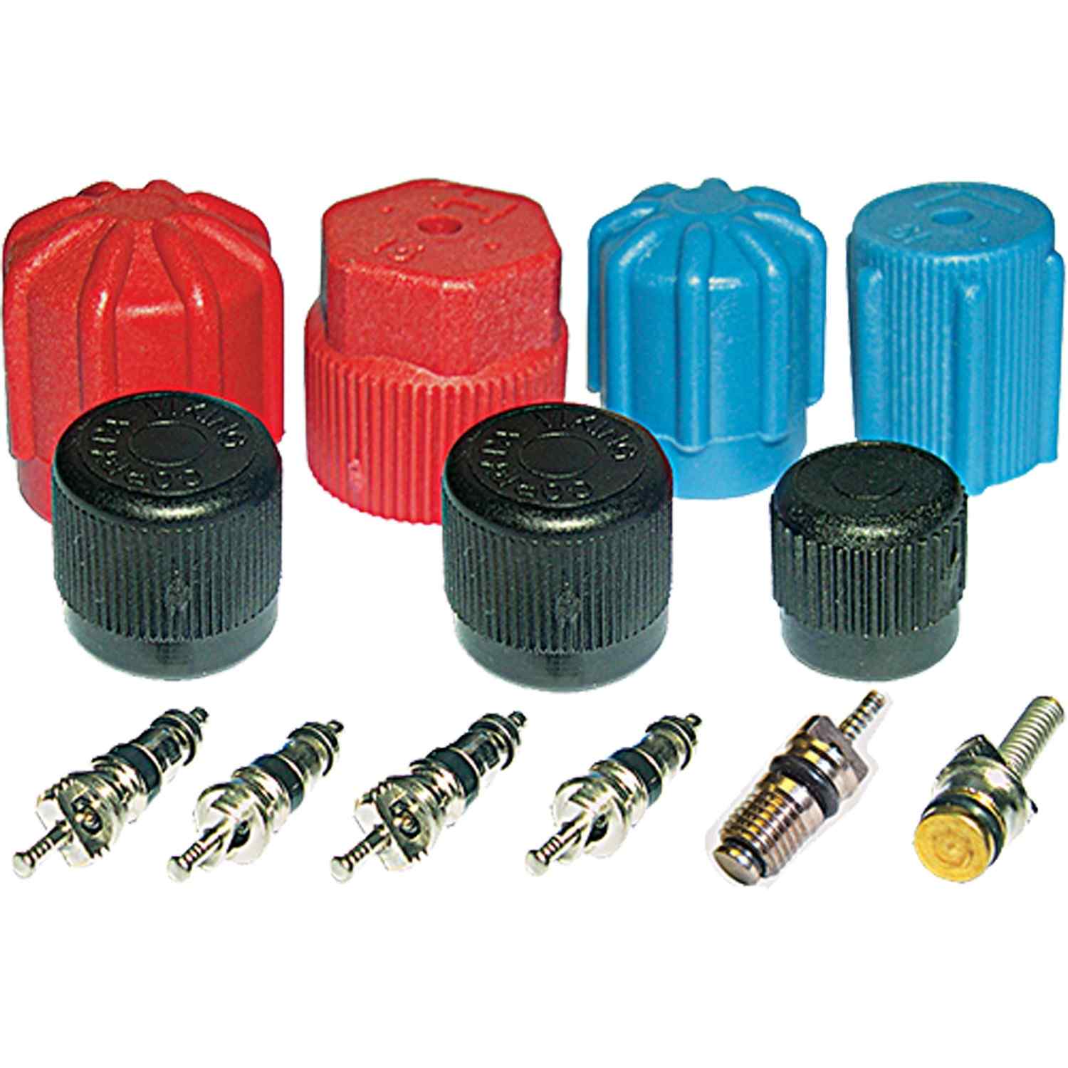 Global Parts Distributors LLC A/C System Valve Core and Cap Kit 1311567
