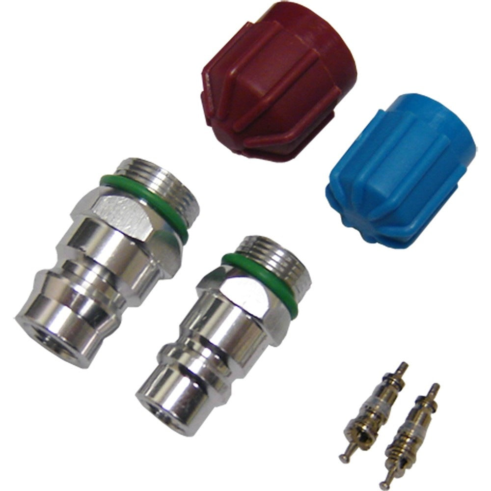 Global Parts Distributors LLC A/C System Valve Core and Cap Kit 1311568