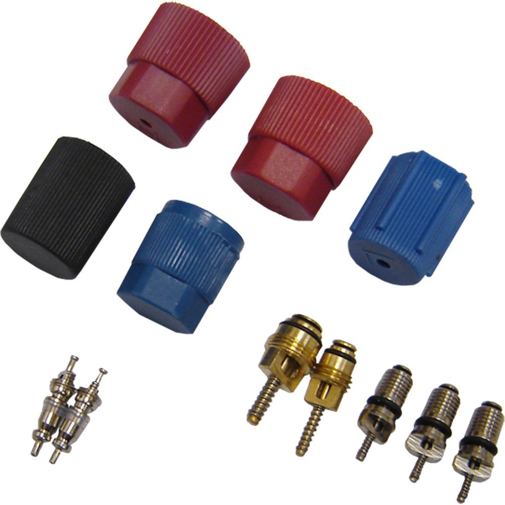 Global Parts Distributors LLC A/C System Valve Core and Cap Kit 1311570