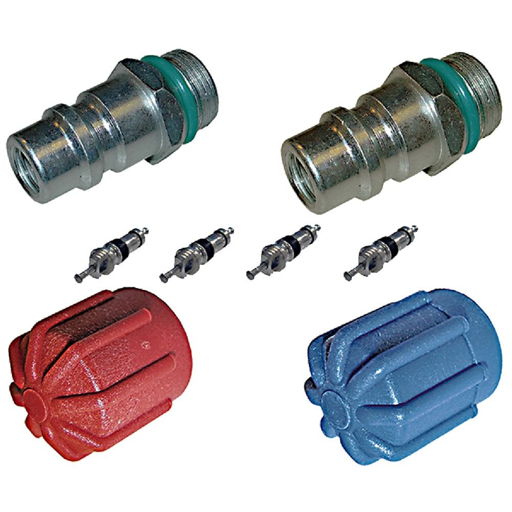 Global Parts Distributors LLC A/C System Valve Core and Cap Kit 1311573