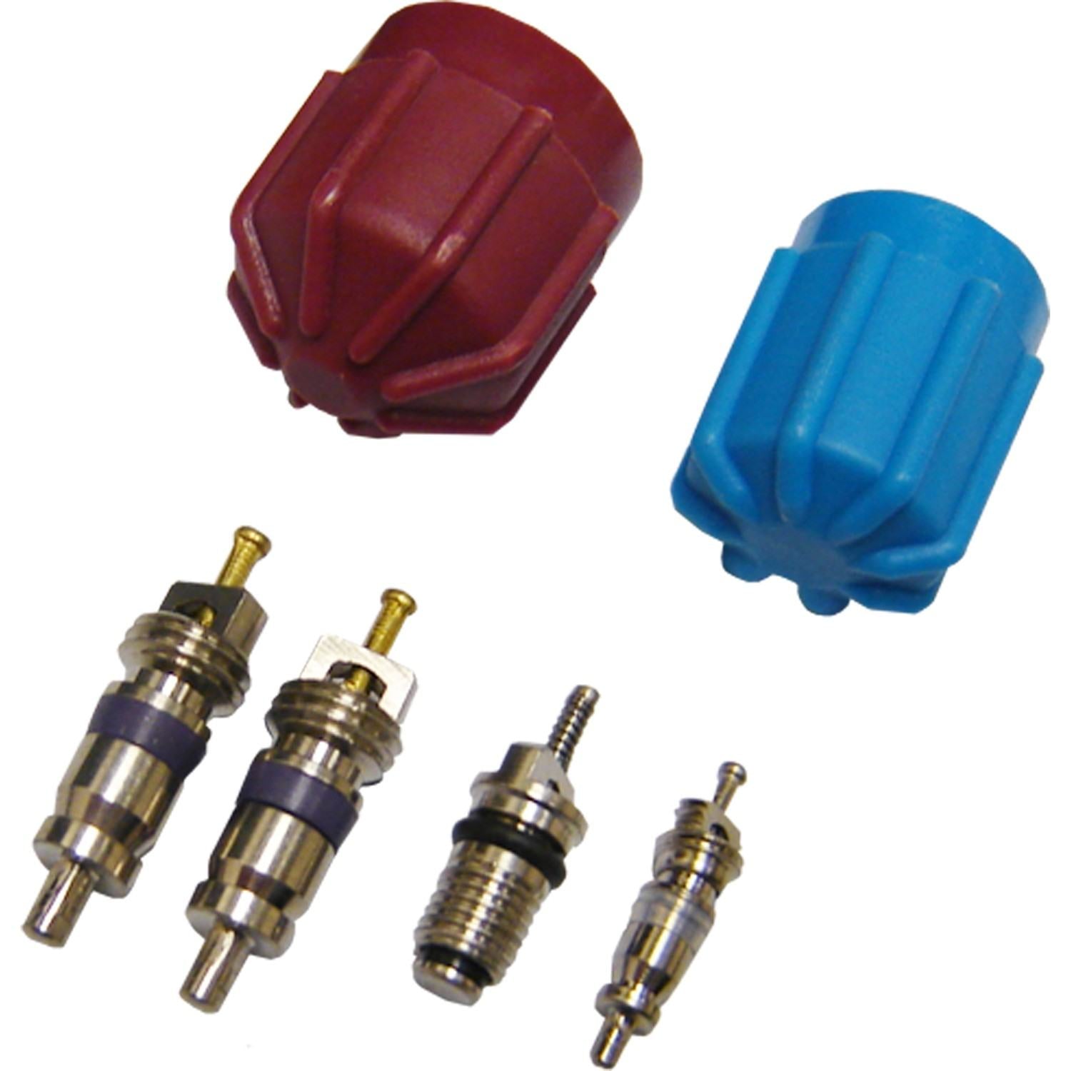 Global Parts Distributors LLC A/C System Valve Core and Cap Kit 1311574