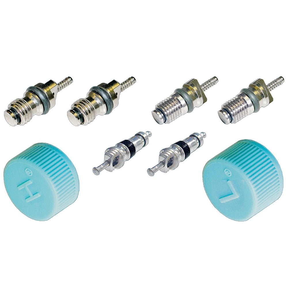 Global Parts Distributors LLC A/C System Valve Core and Cap Kit 1311684