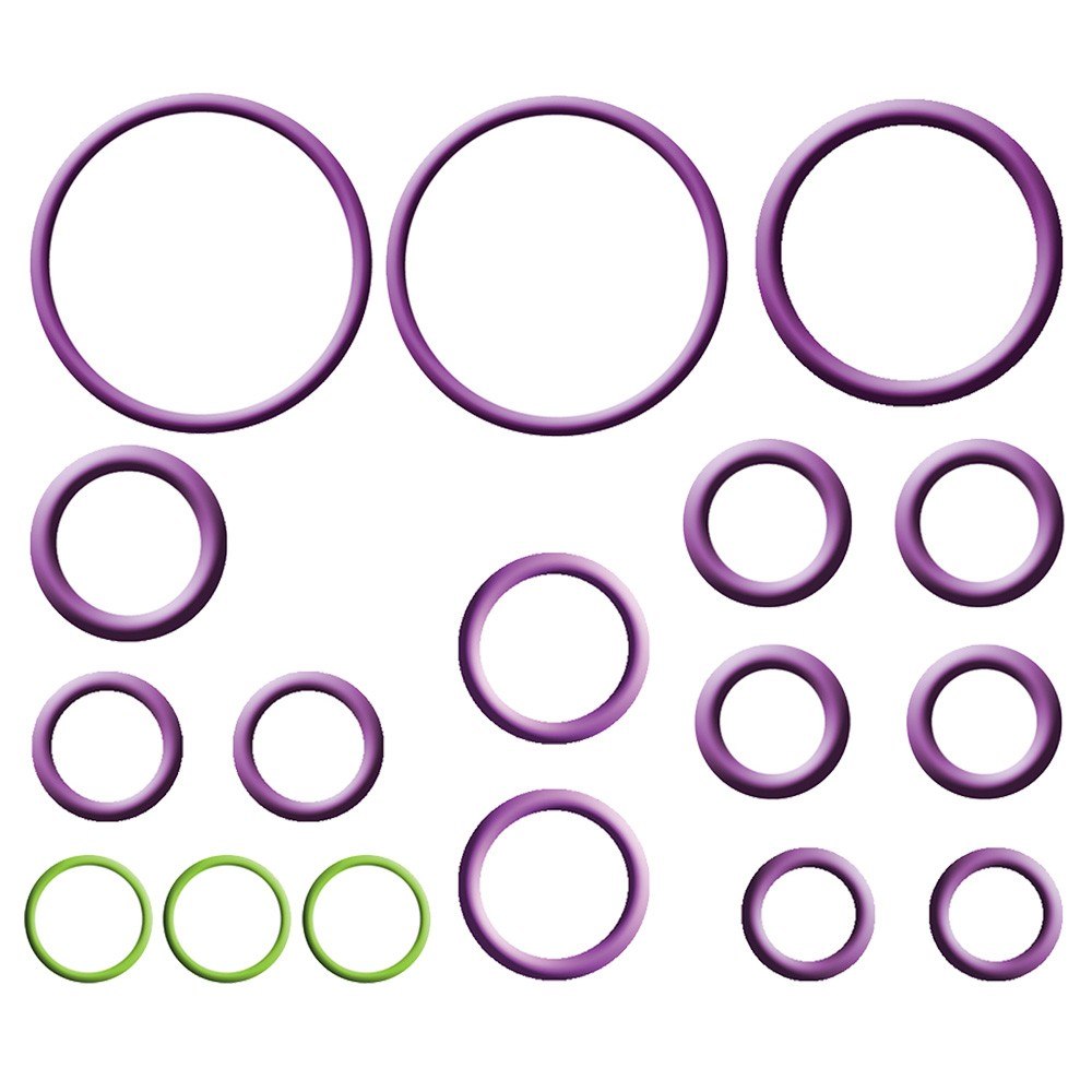 Global Parts Distributors LLC A/C System O-Ring and Gasket Kit 1321357