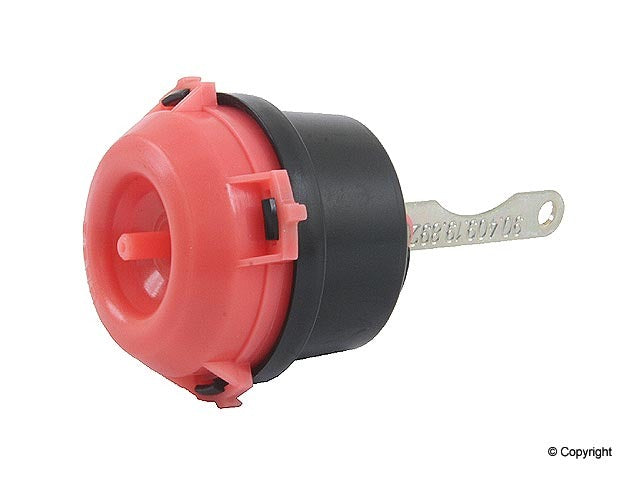Genuine Parts Company Fuse