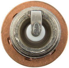 Genuine Parts Company Spark Plug