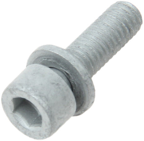 Genuine Parts Company Fuel Pump Injection Bolt