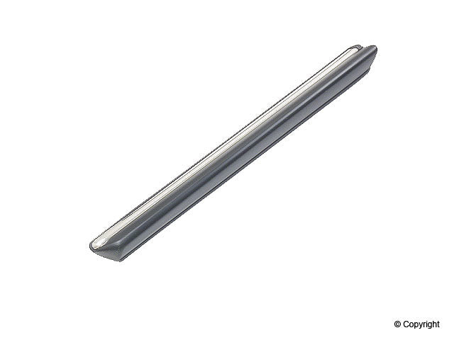 Genuine Parts Company Door Molding