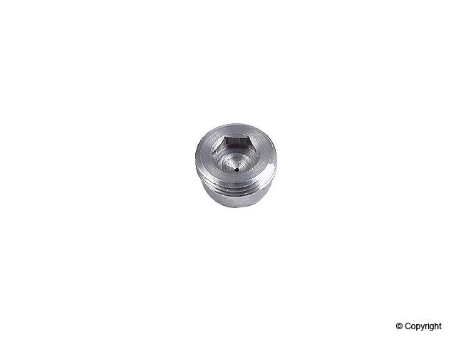 Genuine Parts Company Engine Oil Injector Spray Nozzle