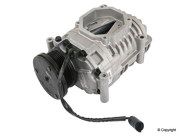 Genuine Parts Company Supercharger