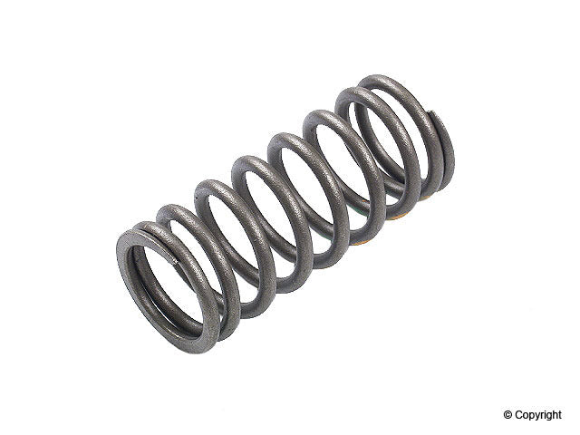 Genuine Parts Company Engine Valve Spring