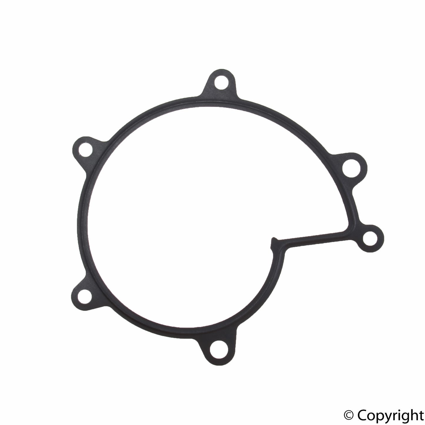 Genuine Parts Company Engine Water Pump Gasket