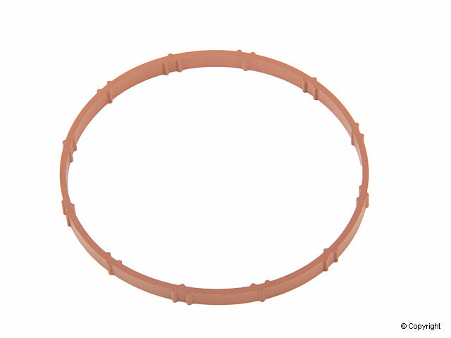 Genuine Parts Company Engine Intake Manifold Gasket
