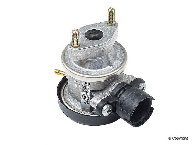 Genuine Parts Company Fuse