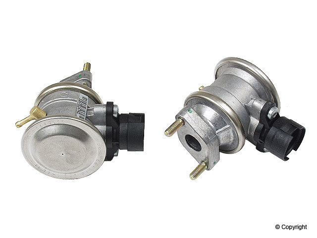 Genuine Parts Company Fuse